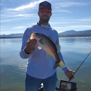 Meet your Posher, Brandon